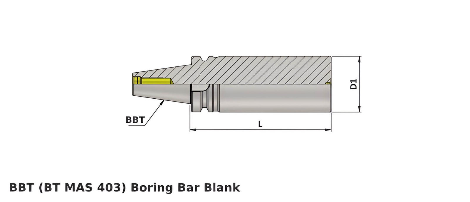 BBT50 Boring Bar Blank Dia 80.0 L 160 (BT MAS 403)